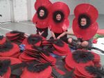 Tweeting Poppies at Ordsall Hall